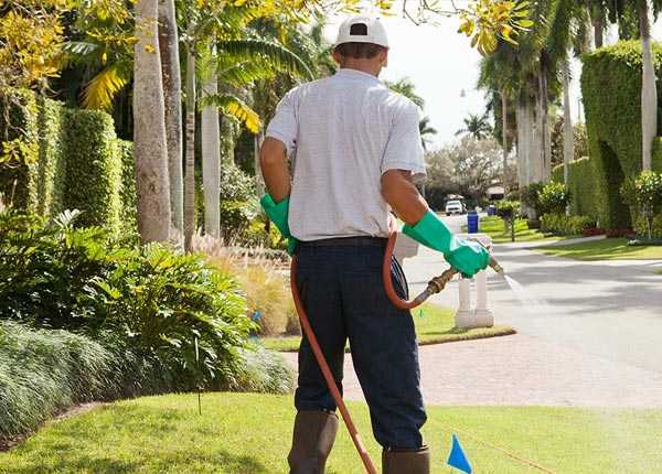 About Asherton TX Pest Control